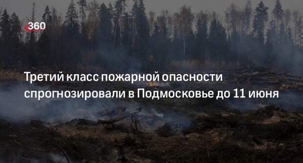 Третий класс пожарной опасности спрогнозировали в Подмосковье до 11 июня