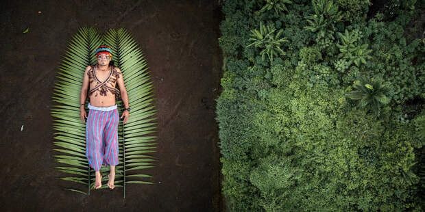 Финалисты конкурса Sony World Photography Awards 2020