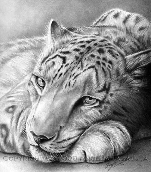 Рисунки карандашом 