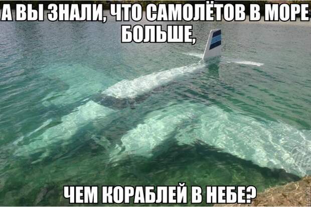 5wSG6Xedtow