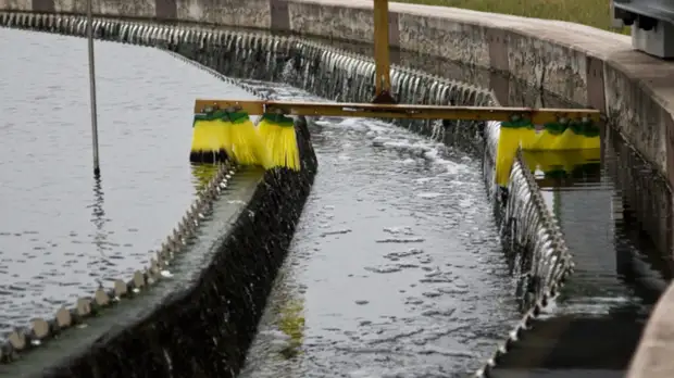 Опыт Петербурга по очистке стоков планируют применить на Байкале