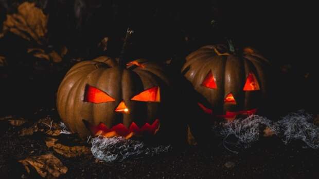 Фильм ужасов «Хэллоуин убивает» с Джейми Ли Кертис возглавил американский прокат в выходные