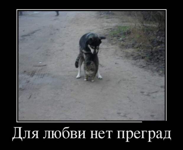 Демотиваторы (30 фото)