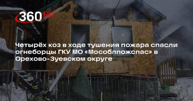 Пожарные спасли четырех коз из горящей хозяйственной постройки