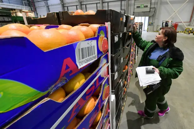 «У нас есть конкретные решения по этому вопросу»: Путин рассказал о ситуации с ценами на продукты