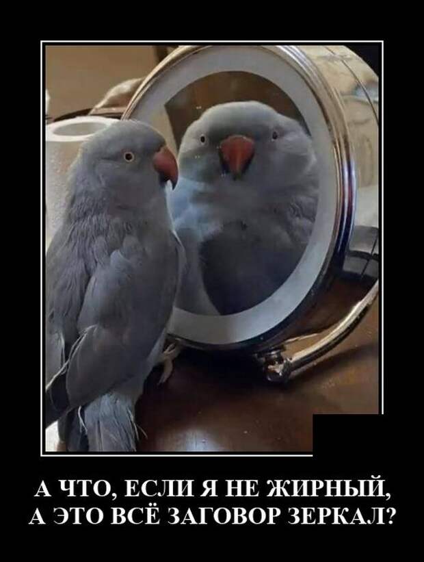 Демотиваторы 11 июня 2021 года