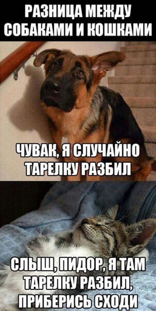 6uiVi4S1Bvs