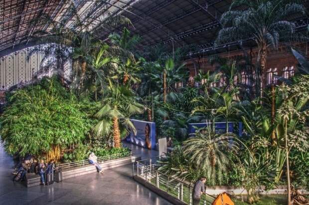 Ботанический сад на вокзале Atocha в Мадриде