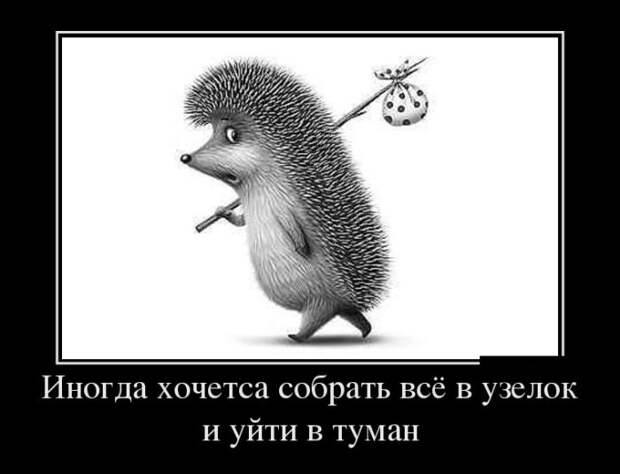 Демотиваторы (30 фото)