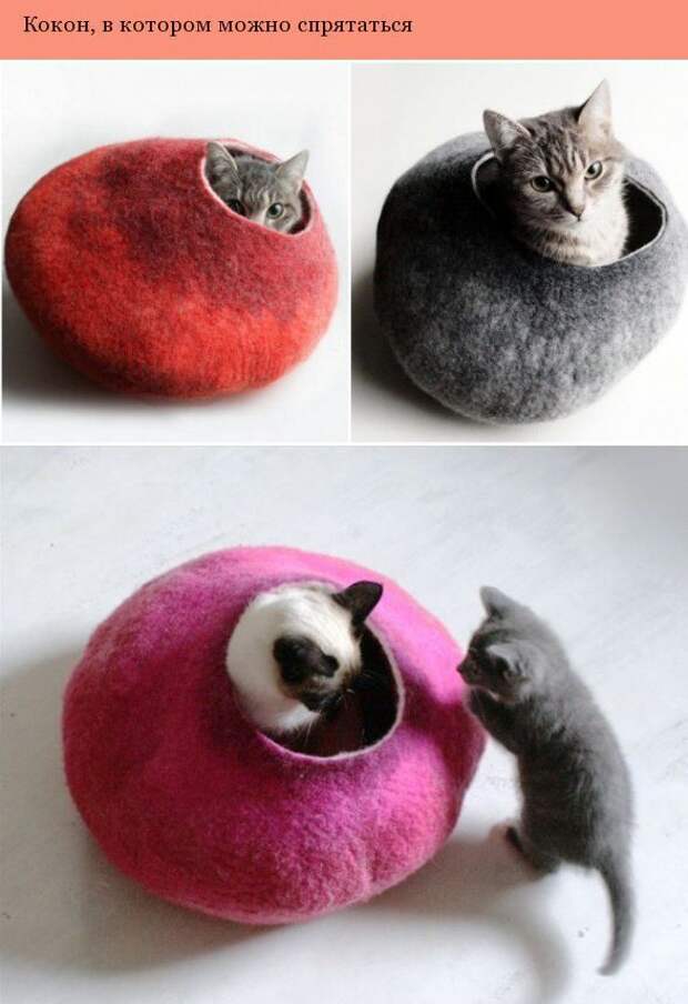 Дизайнерские штуки для котеек дизайн, котэ