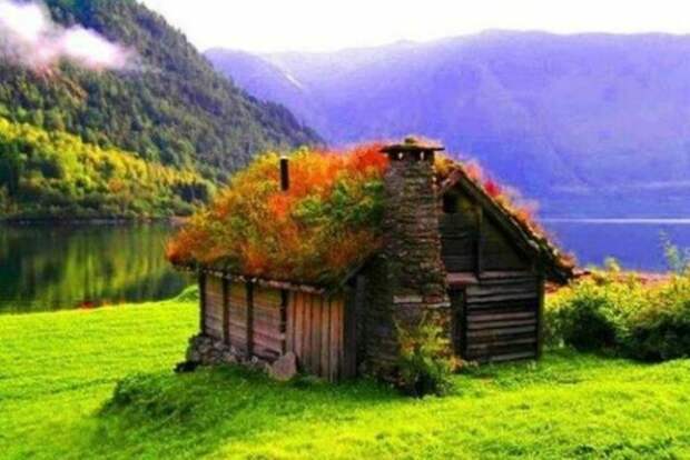 Травяные крыши в странах Северной Европы начали создавать еще в глубокой древности. | Фото: vetrogeneratorsvoimirukami.ru.
