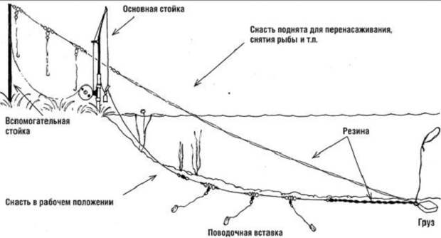 Учимся тянуть резину. Ловля карася на резинку