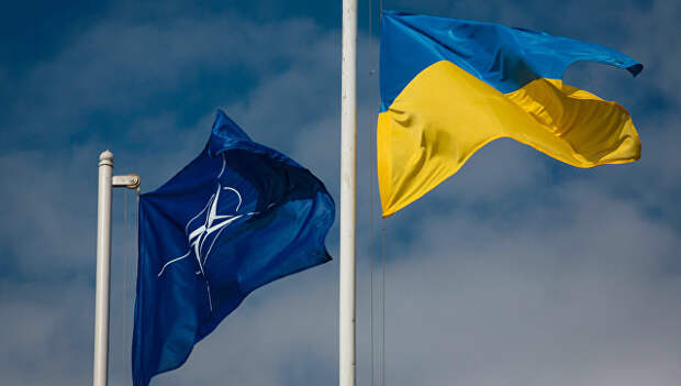 Флаги Украины и НАТО. Архивное фото