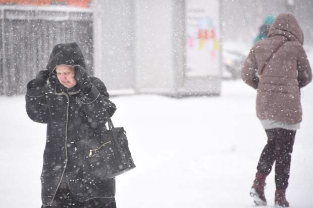 Синоптики предупредили жителей Москвы о мокром снеге 7 декабря
