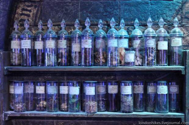 Музей маленького мальчика в очках HarryPotter 44 Музей маленького мальчика в очках