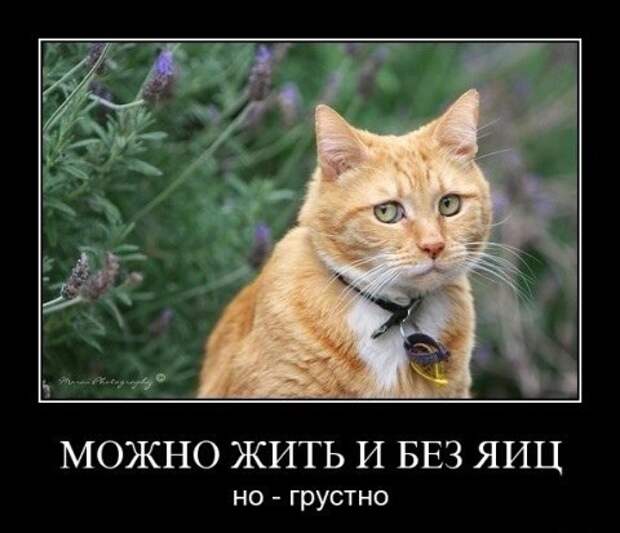 Пасха 2021 Пасха 2021