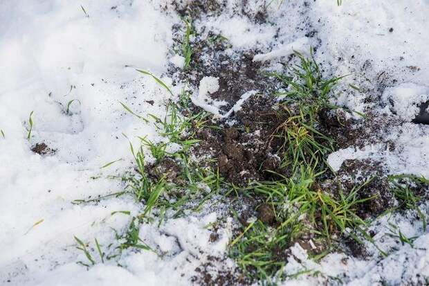 Почему продукция АПК не востребована? Тяжелые времена рождают сильных личностей