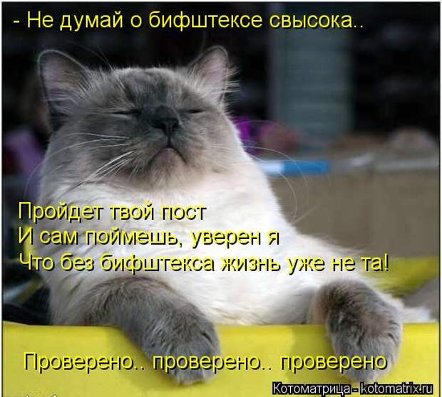 Котоматрица: - Не думай о бифштексе свысока.. Пройдет твой пост И сам поймешь, уверен я Что без бифштекса жизнь уже не та! Проверено.. проверено.. проверено