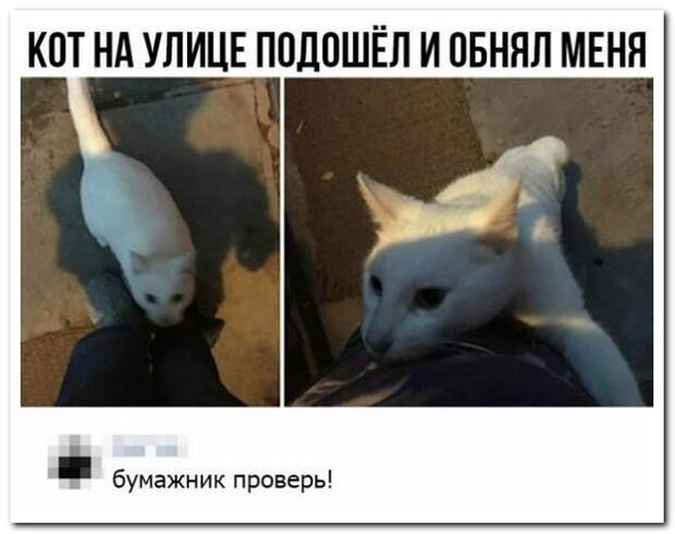 www.vsyako.net