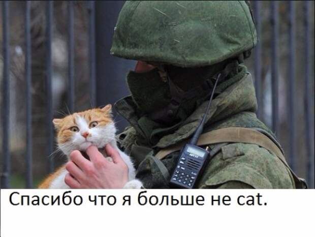 c4c78b68b378.jpg