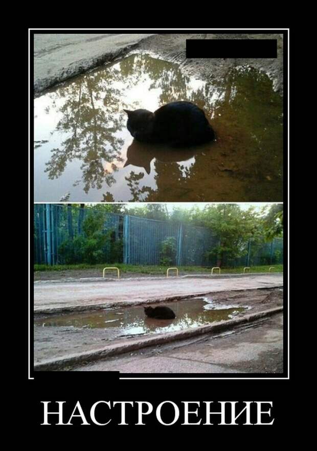 Демотиваторы (20 фото)