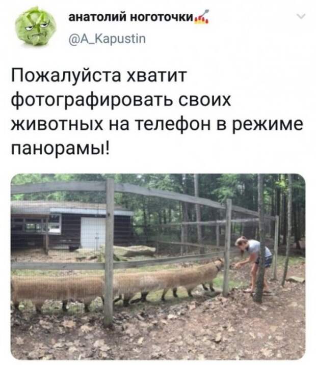 Немного картинок для настроения