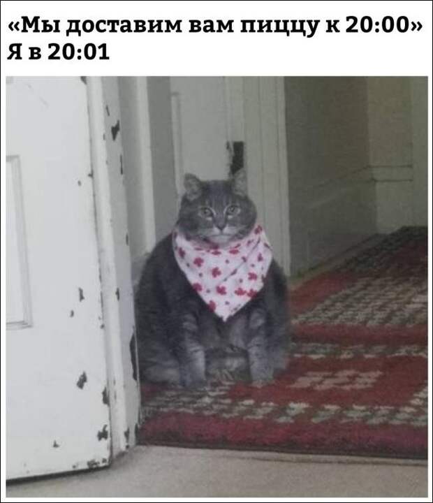 Фотоподборка