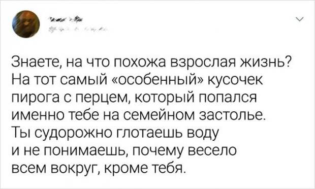 твит про пирог