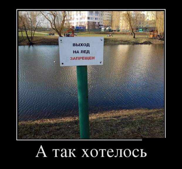 Демотиваторы (30 фото)