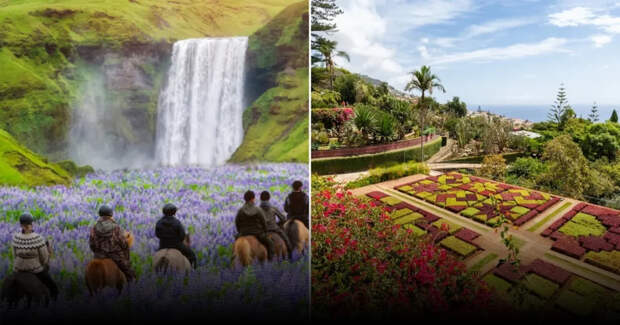 14 лучших мест в мире для наблюдения за цветущими полями и садами