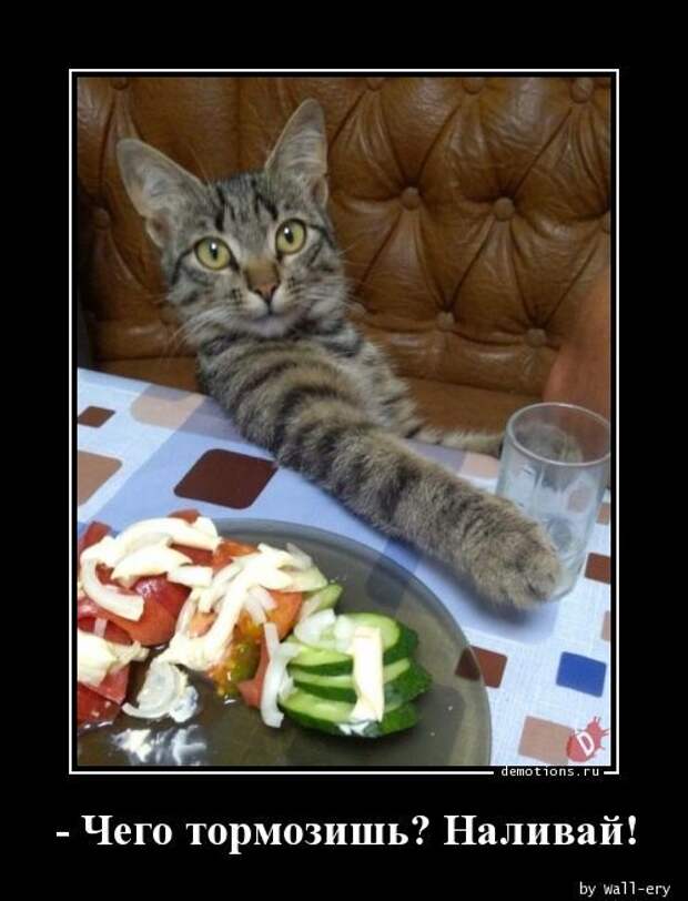 demotivatory-demotivator-smeshnye-demotivatory-demotivator-so-smyslom