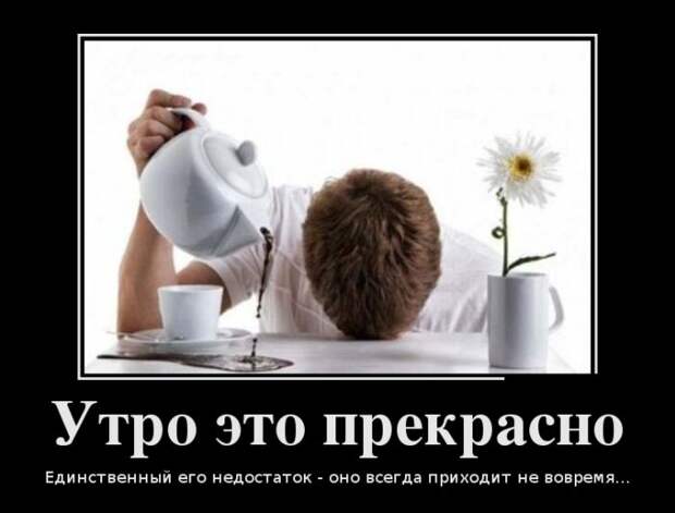 Демотиваторы (30 фото)