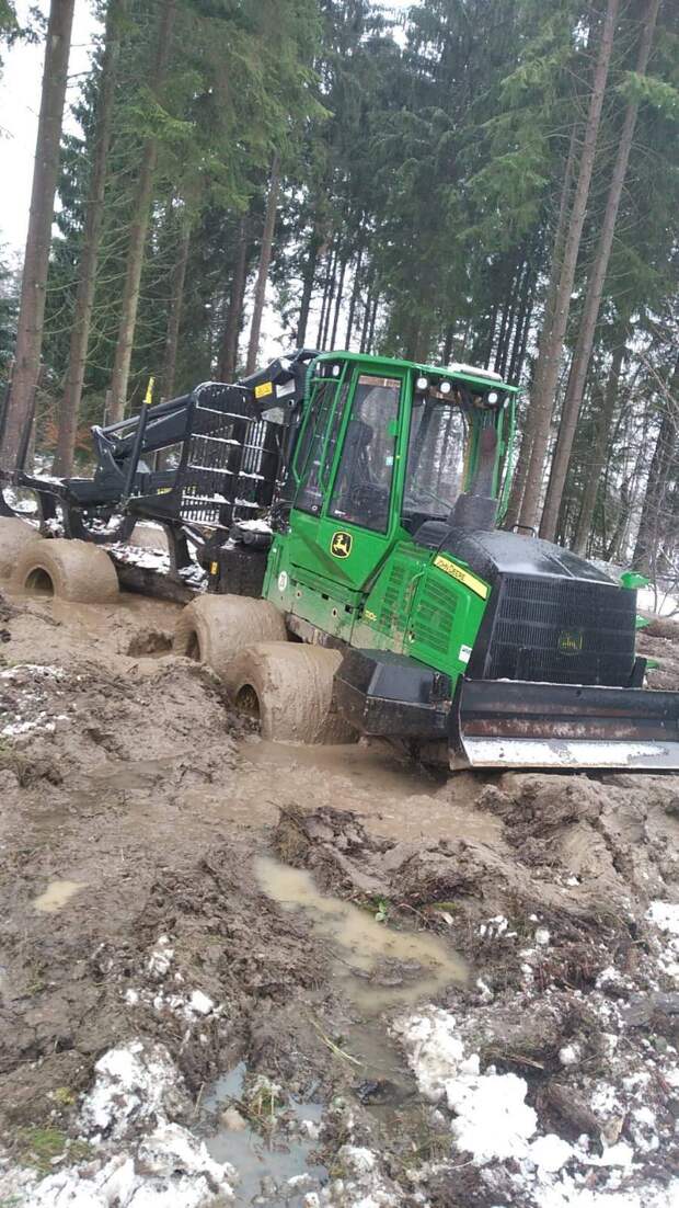 Подборка прикольных картинок