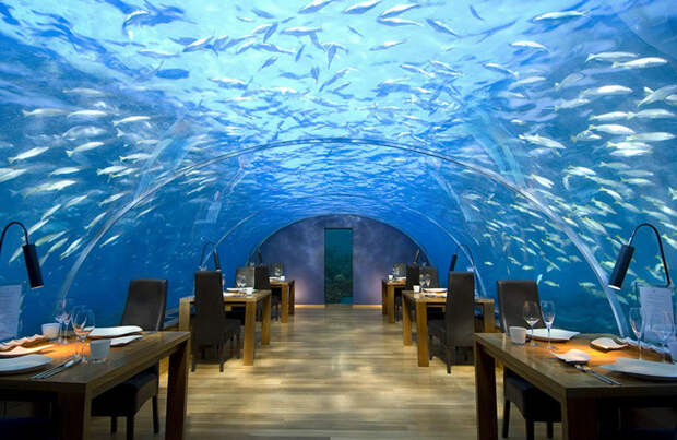 Ресторан на глубине 5 метров, Ithaa Undersea Restaurant, Мальдивы мир, подборка, ресторан