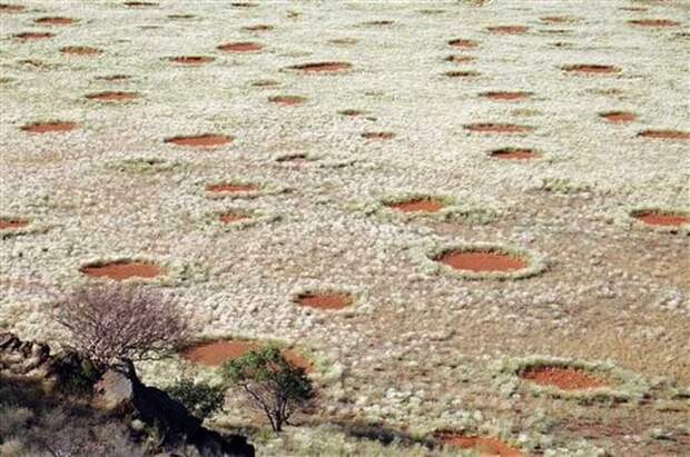 Ведьмины круги в пустыне Намиб: загадка, которой пока нет объяснения