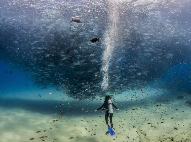Лучшее от National Geographic (1)
