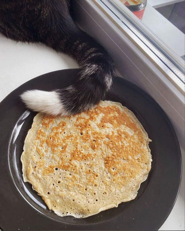 mFWMsTiTnDE (561x700, 386Kb)