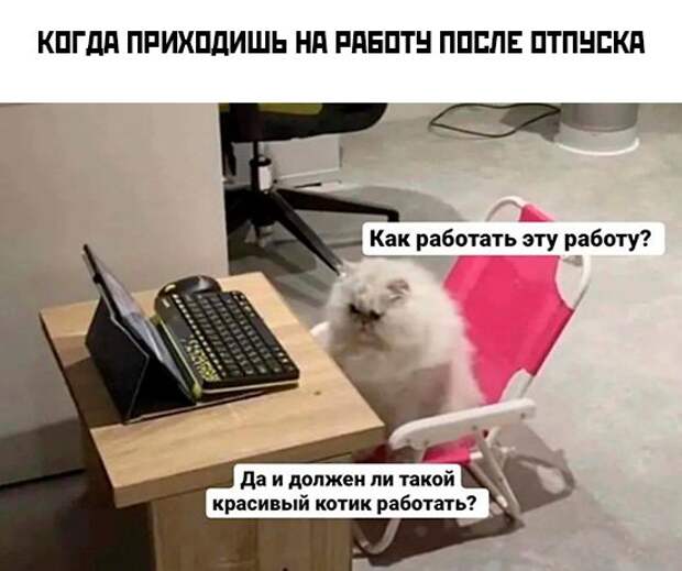 Мемы и картинки 