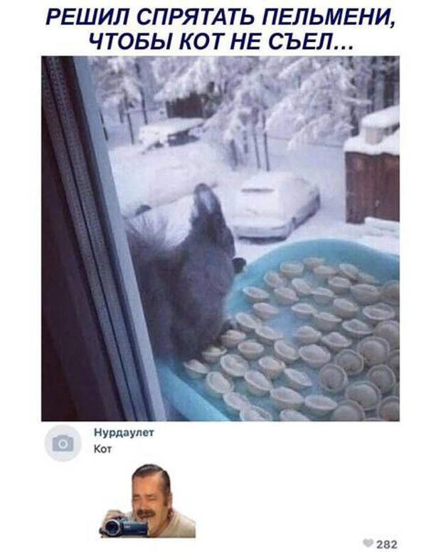 Свежий сборник мемов и комментариев: ваш заряд позитива из соцсетей!