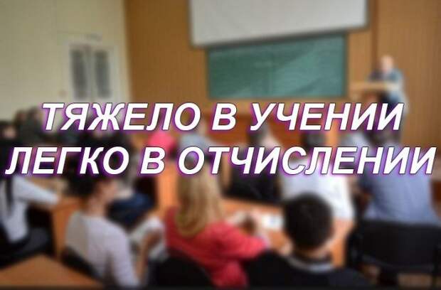 Прикольные картинки Прикольные картинки