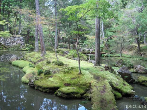 Сад мхов Saiho-ji. Япония (26 фото)