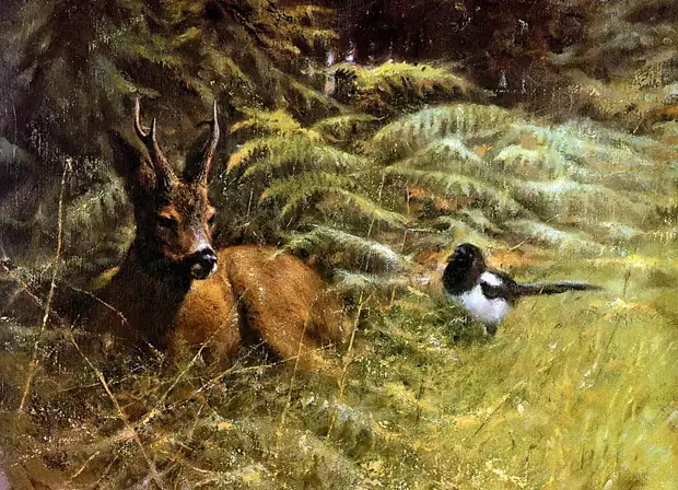 �������� ��� ���������.