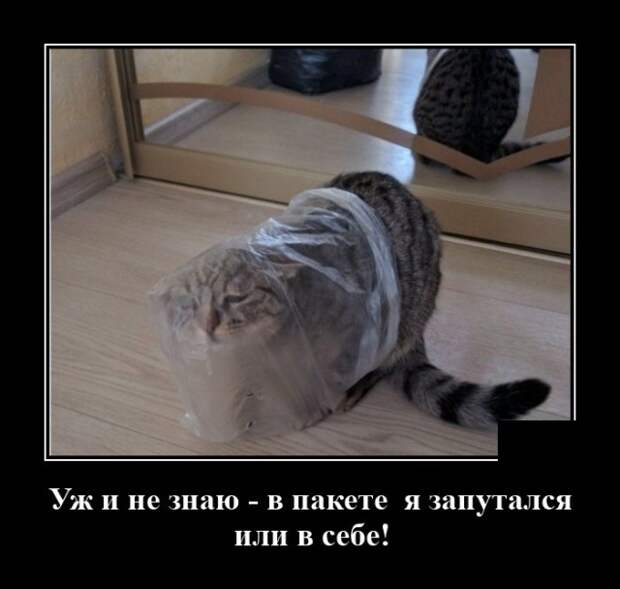Демотиваторы 28 мая 2021