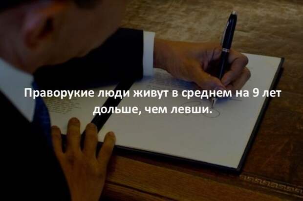 Интересные факты для любознательных