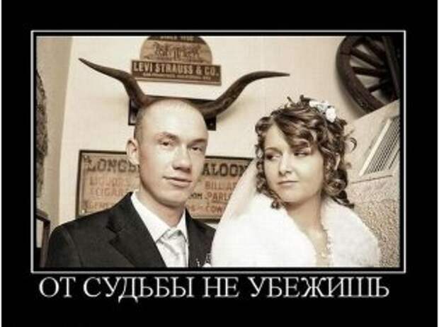 Ах, эта свадьба, свадьба, свадьба....!