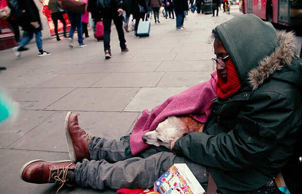 Британцы решили помочь питомцам бездомных людей.