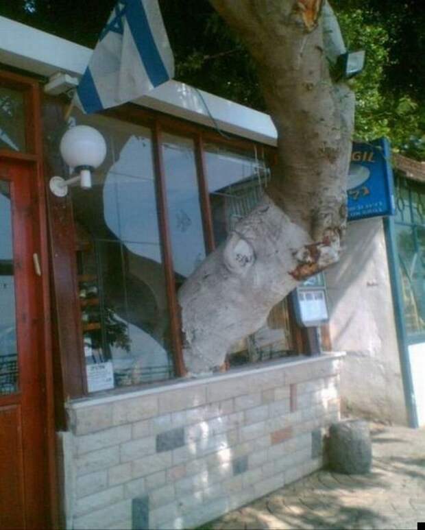 Сила природы (25 фото)