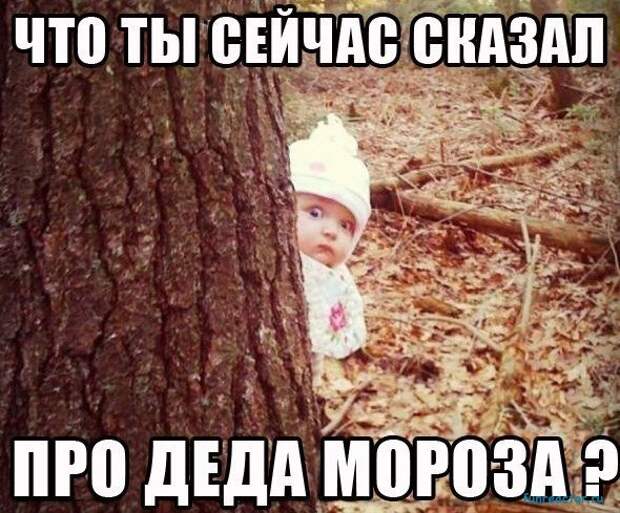 1354215136_ccqciptw1fi.jpg