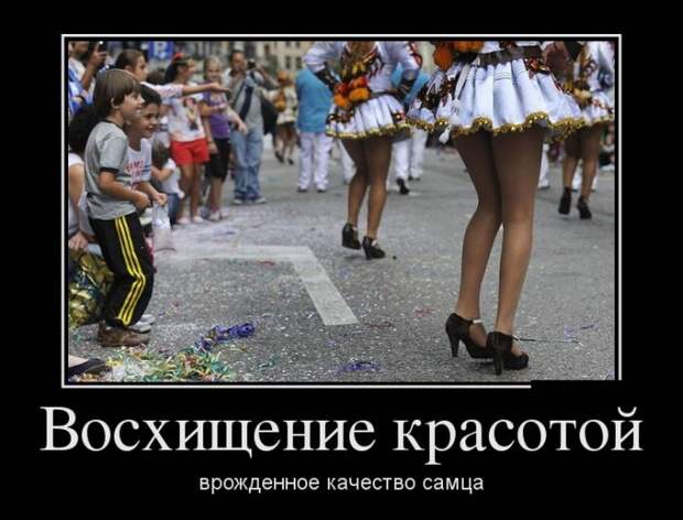 Демотиваторы (30 фото) Демотиваторы (30 фото)