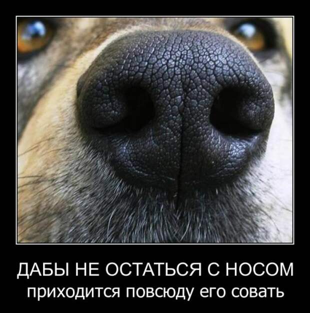 Картинки в черных рамочках  